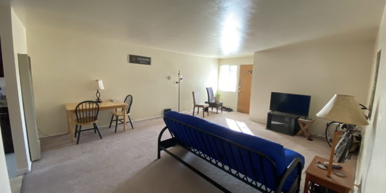 Livingroom #225