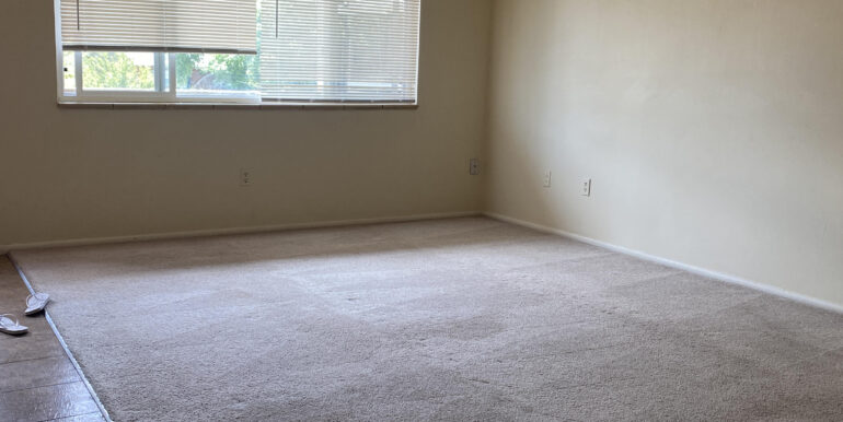 Living Area 1
