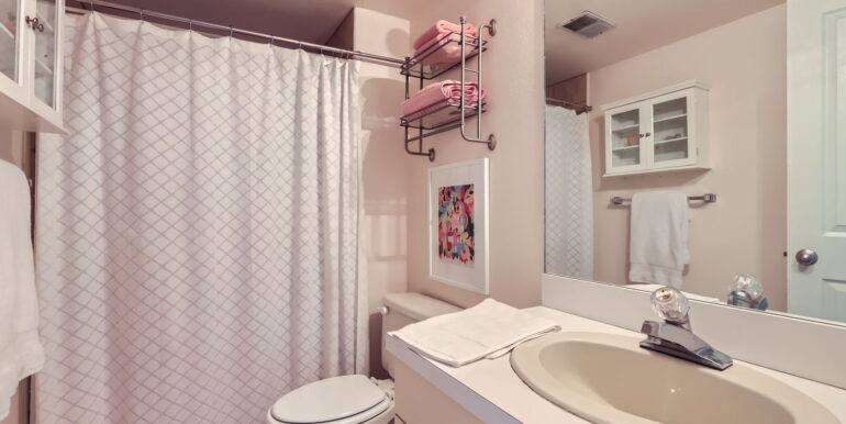 1149 Quince Ave - Web Quality - 026 - 30 Lower Level Bathroom
