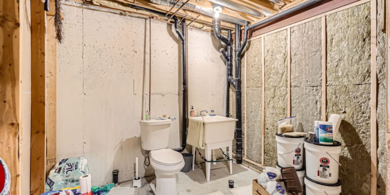 12342 Milwaukee Ct - Web Quality - 021 - 24 Lower Level Bathroom